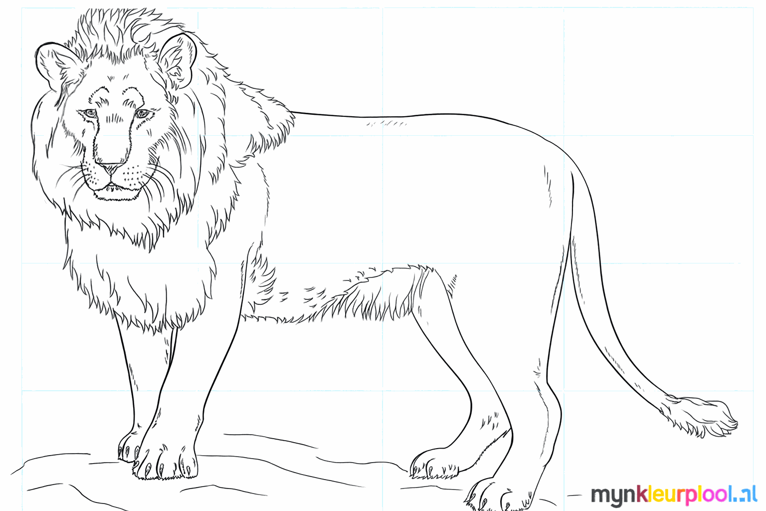 Drawing a cool lion in 9 steps