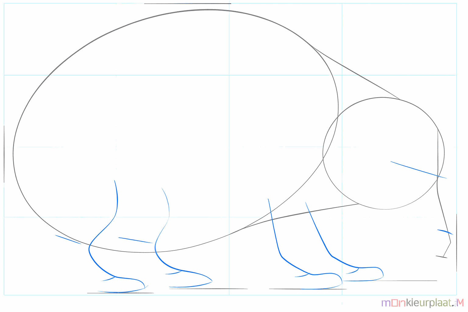 Lignes indiquant la position du museau et des quatre pattes.