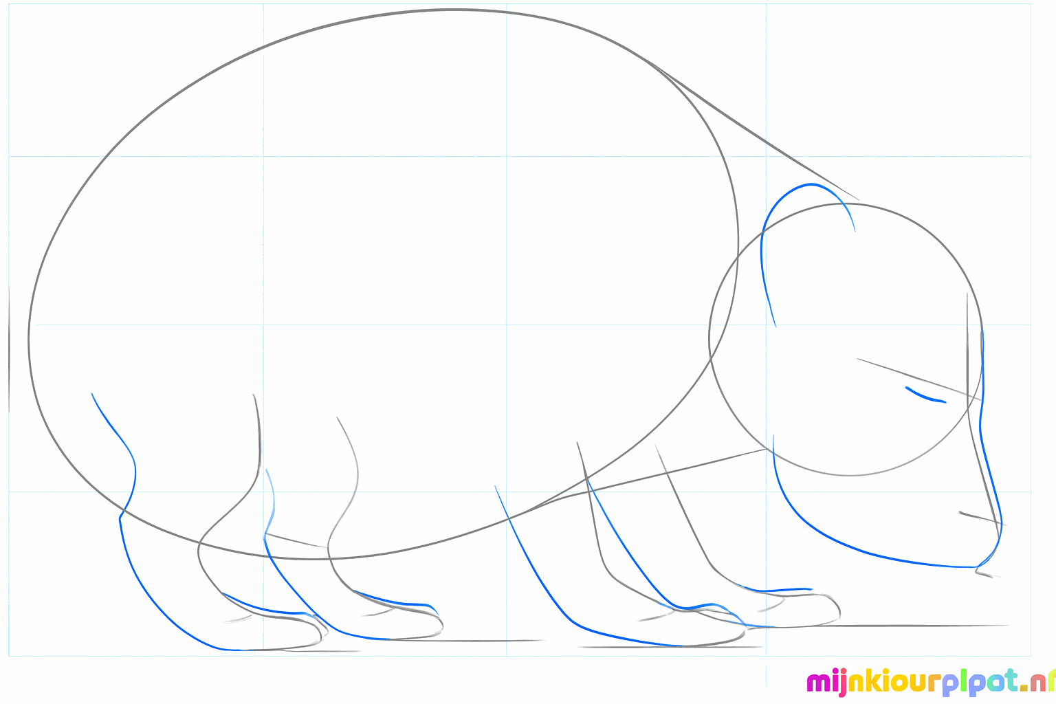 Un hérisson avec un nez pointu et une petite oreille ronde.