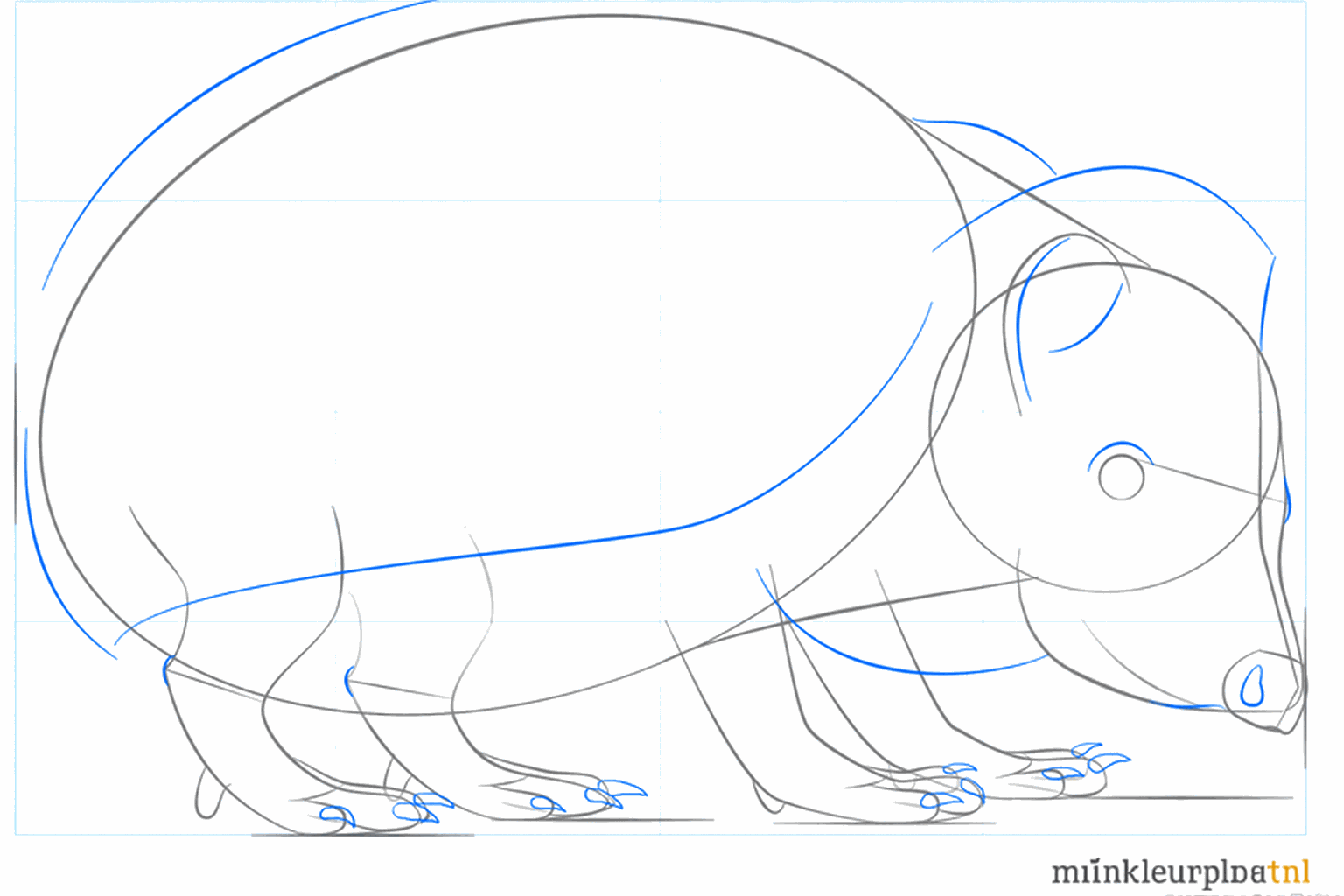 Détail de l'œil et des petits pieds du hérisson.