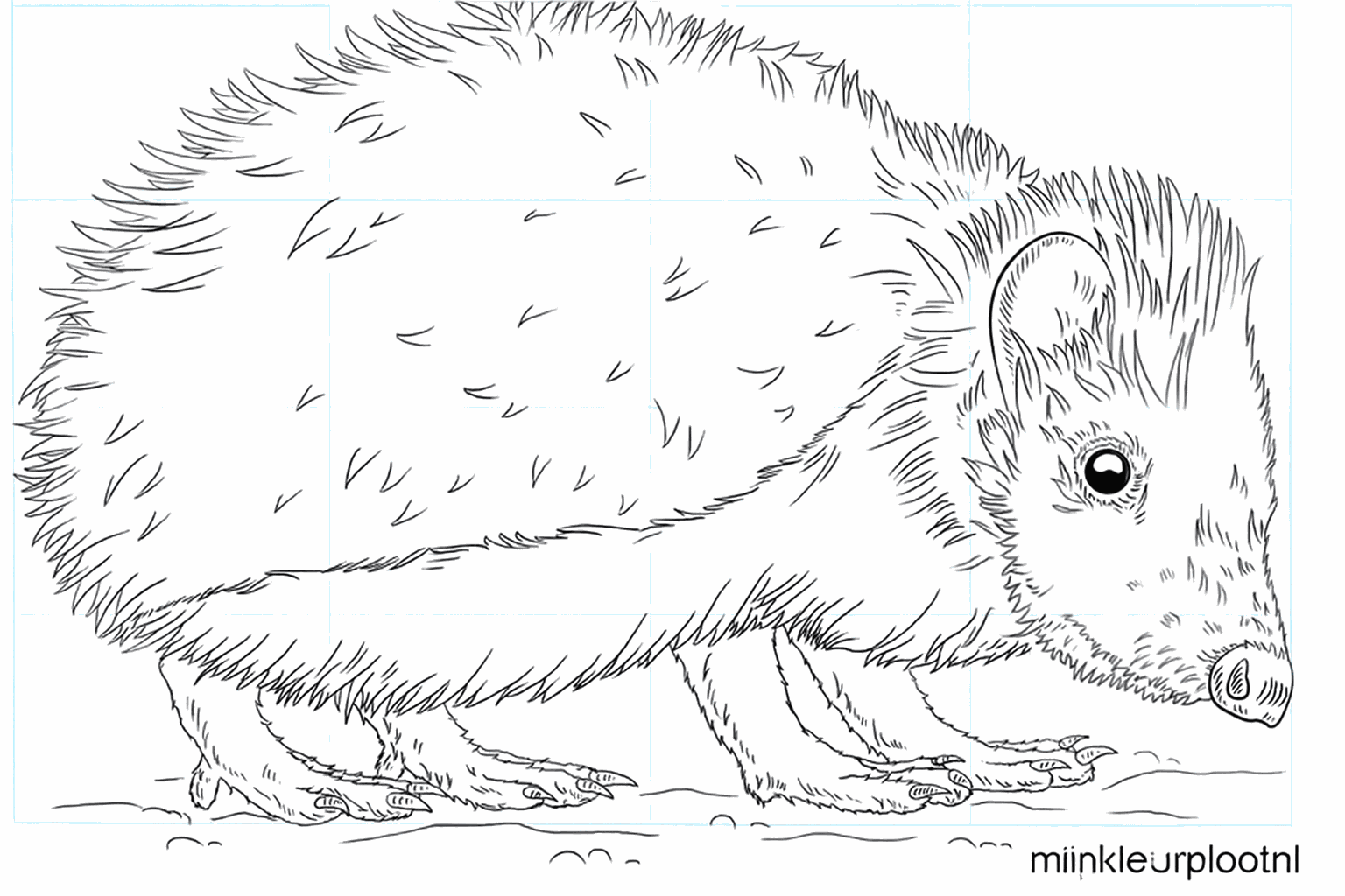 Drawing a happy hedgehog in 8 steps