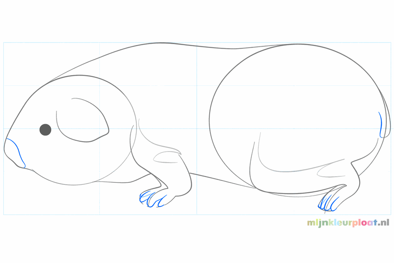 L'avant de la tête prend une forme plus ronde pour le nez et la bouche.