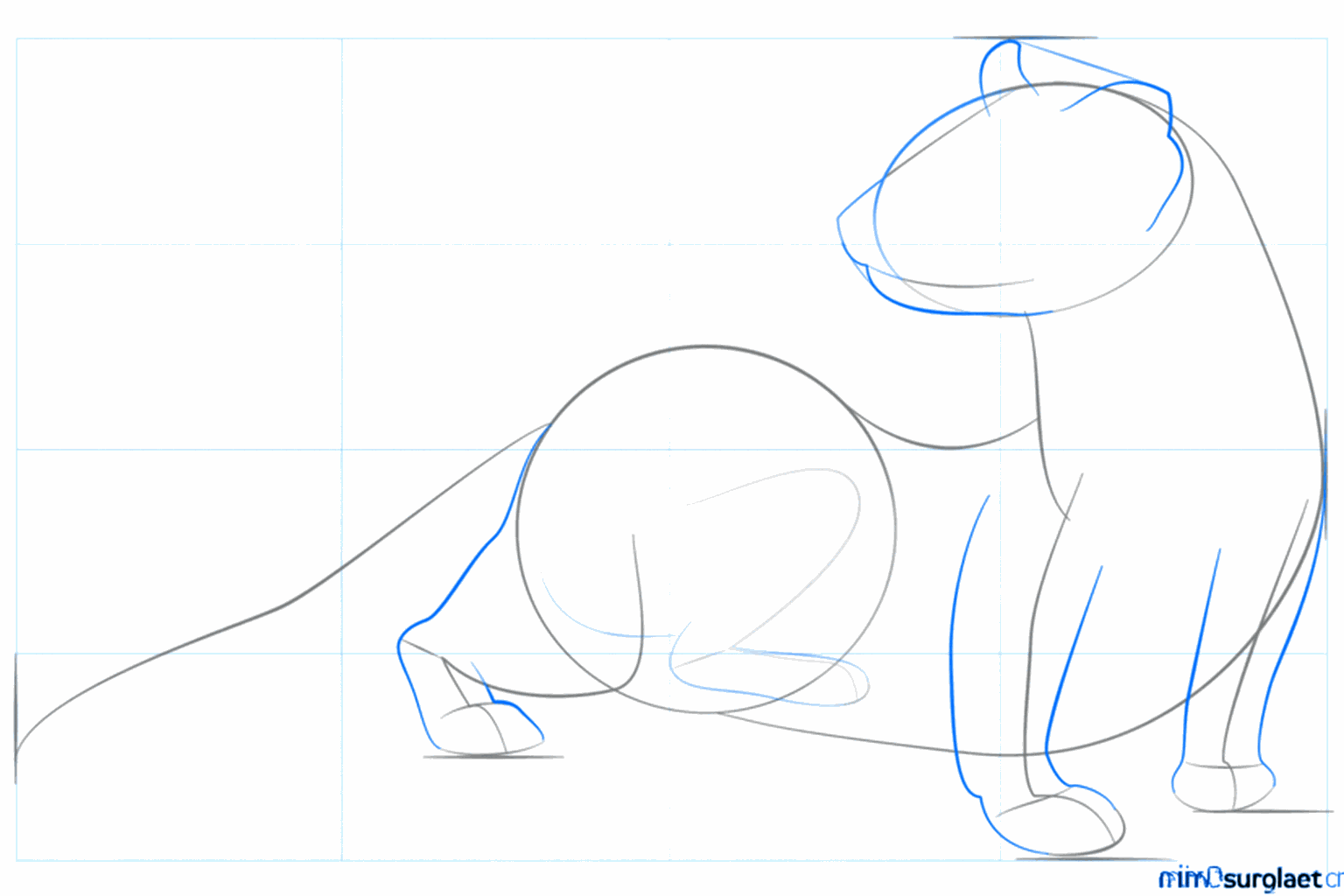 Step-by-step drawing step 4: Shaping the legs and ears.