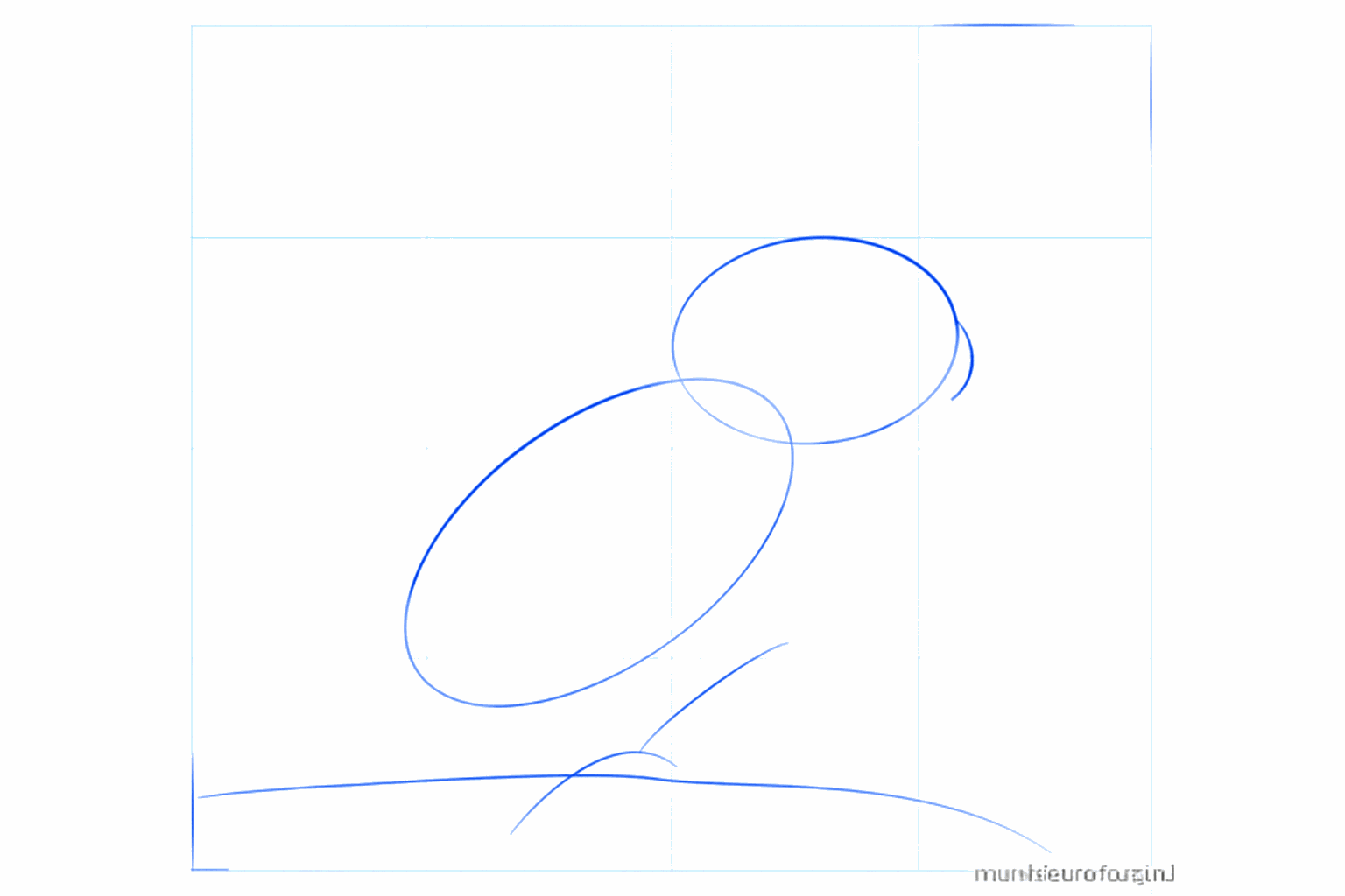 Two ovals and a horizontal line for the base of the cockatoo.