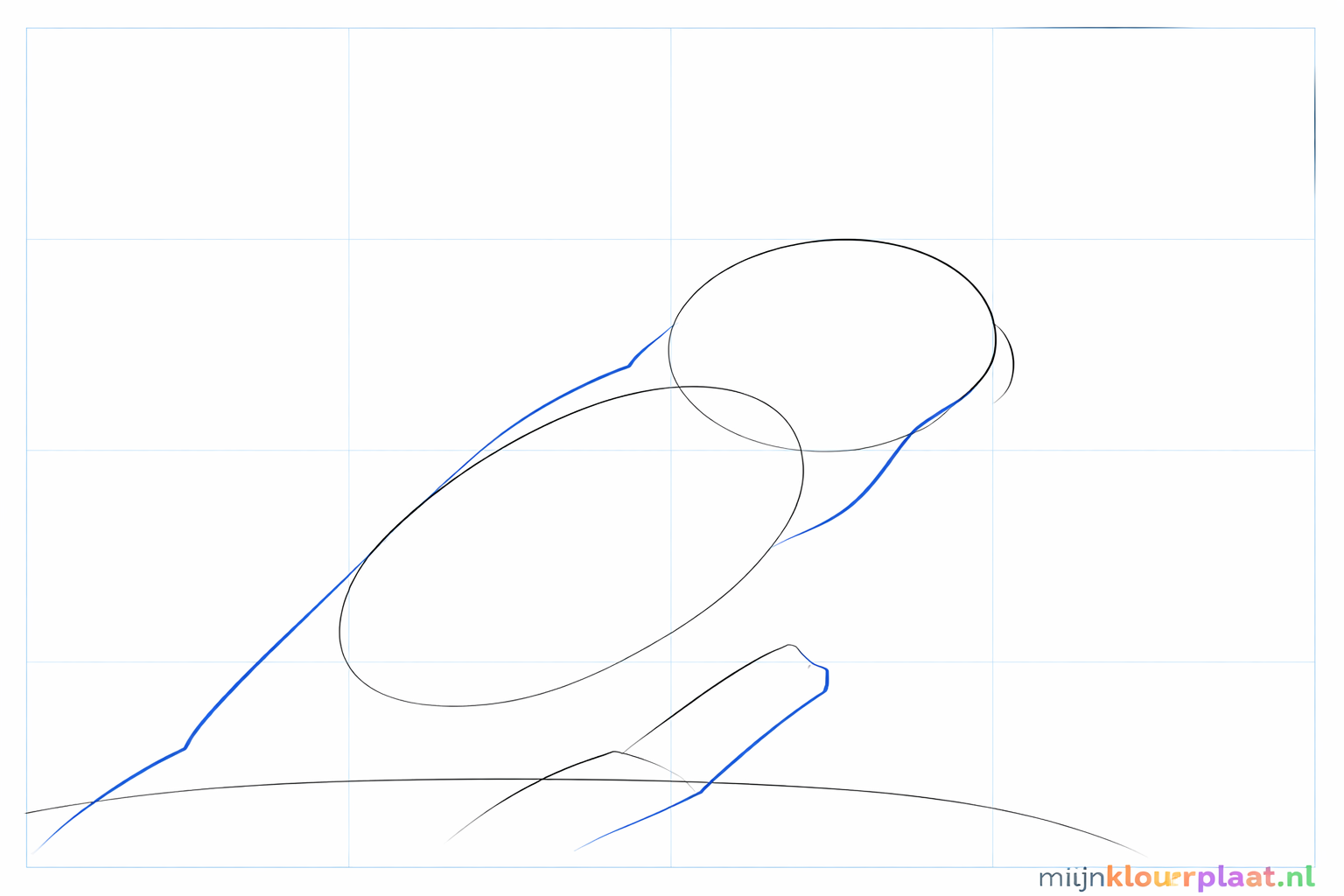 The outline of the neck and a long line downwards for the tail.