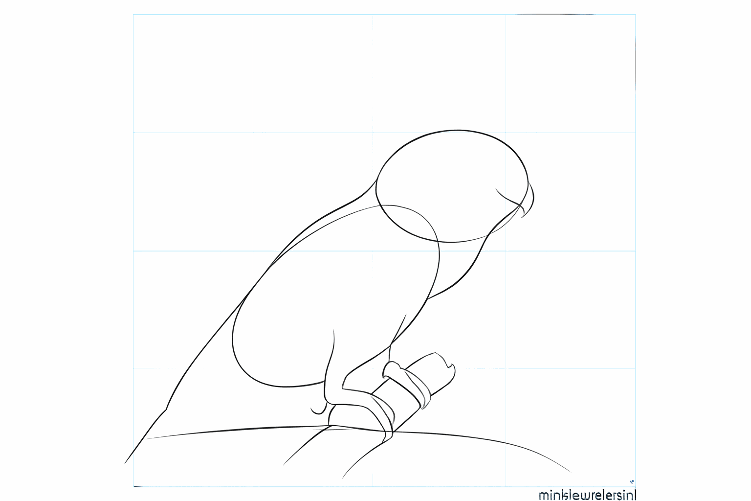 Guide lines for the beak and the feet of the bird.