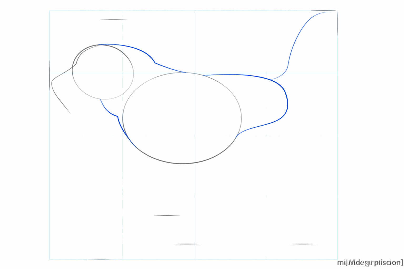Lignes de construction reliant la tête au corps et une longue ligne pour la queue à l'arrière.