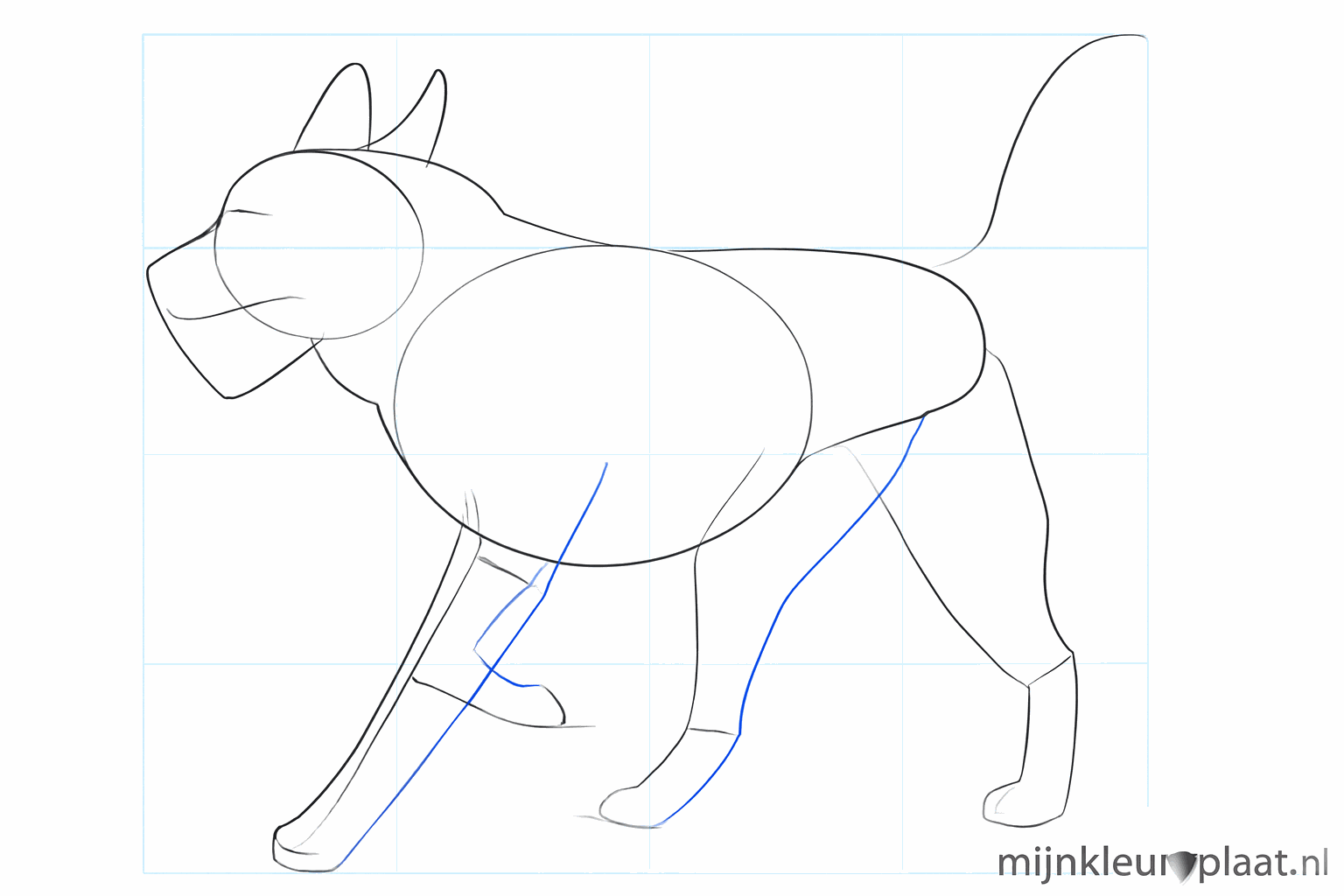 Les pattes prennent forme et volume et les oreilles sur le dessus de la tête sont dessinées en pointe.