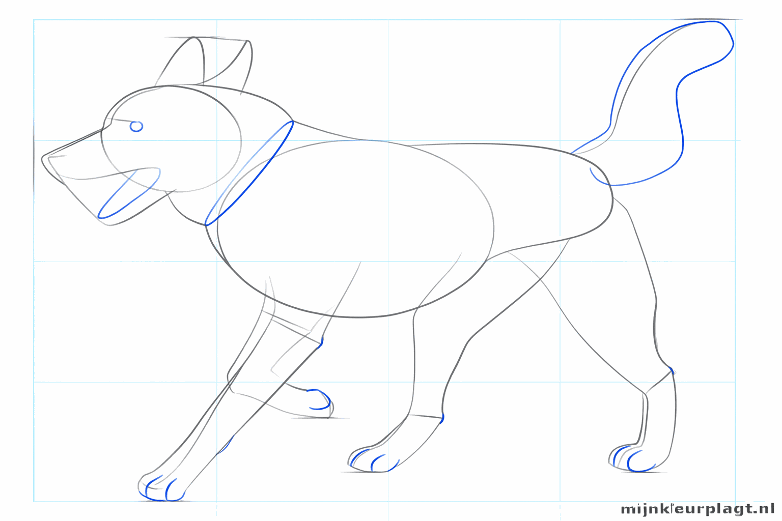 Une forme de queue épaisse et de petits détails sur le visage du Husky comme les yeux.