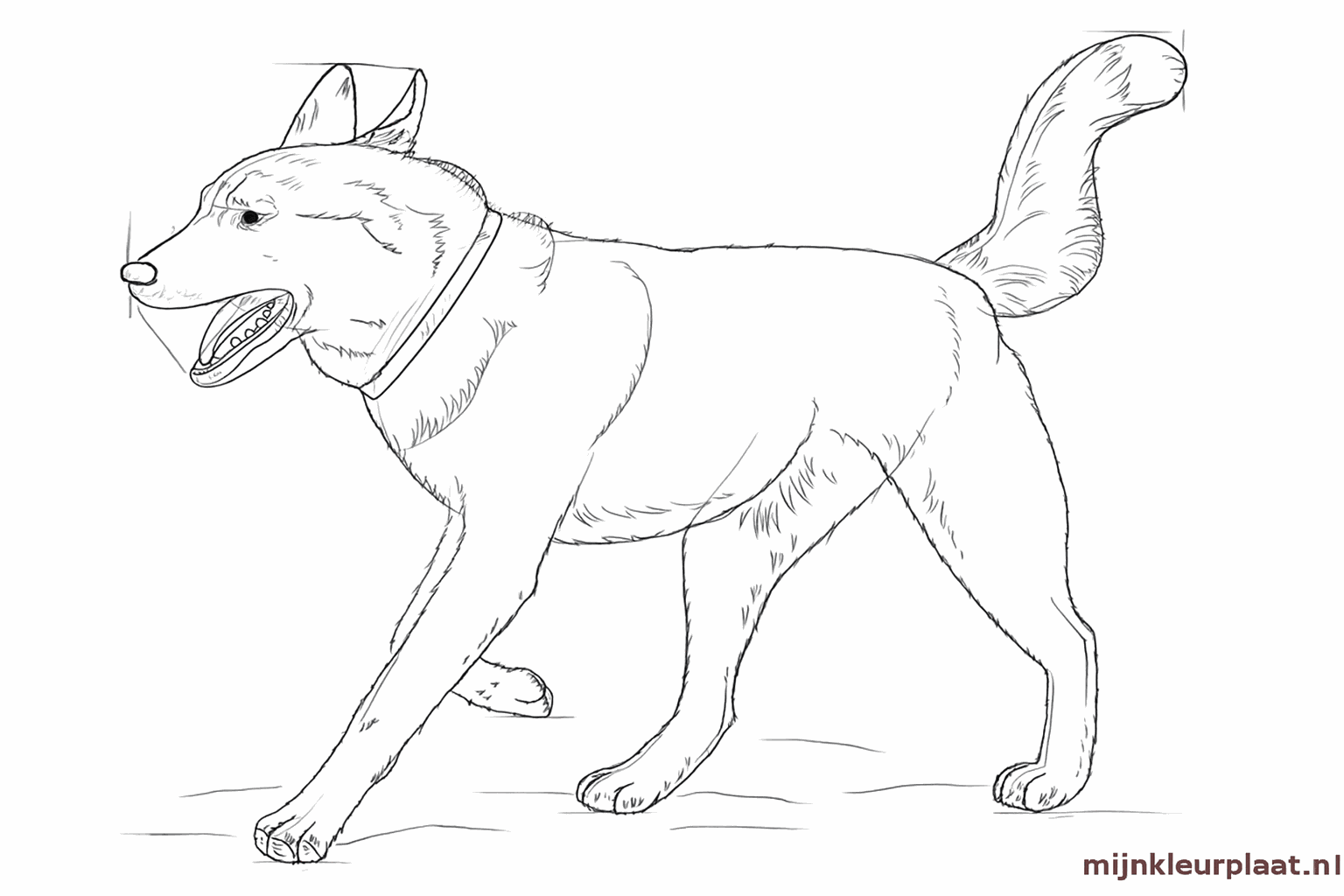 Le contour du chien présente de petits pics qui ressemblent à des poils de chien doux.