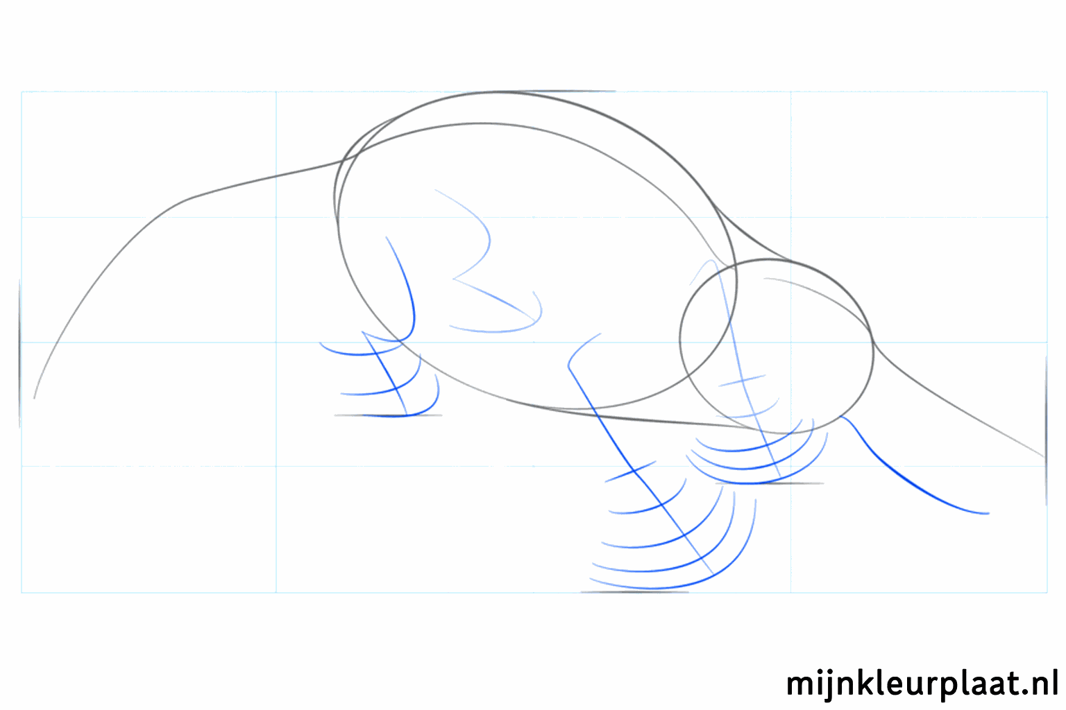 Petits cercles pour la position des pattes et une ligne d'aide pour le bec.
