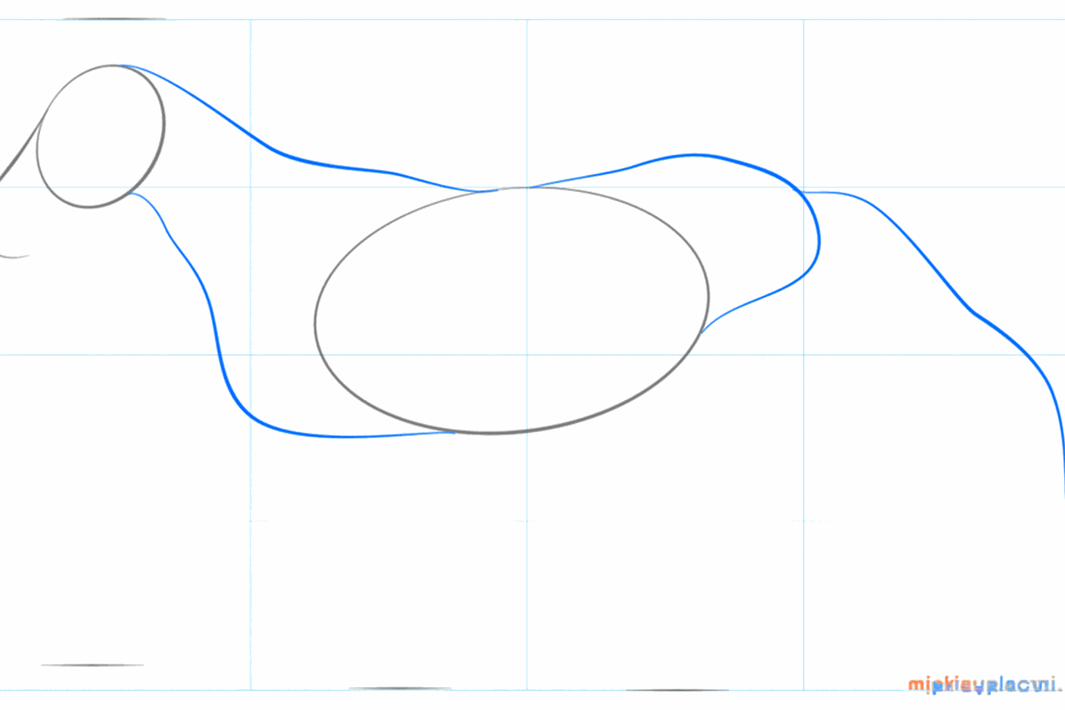 Draw the neck and the first line for the tail of the horse.