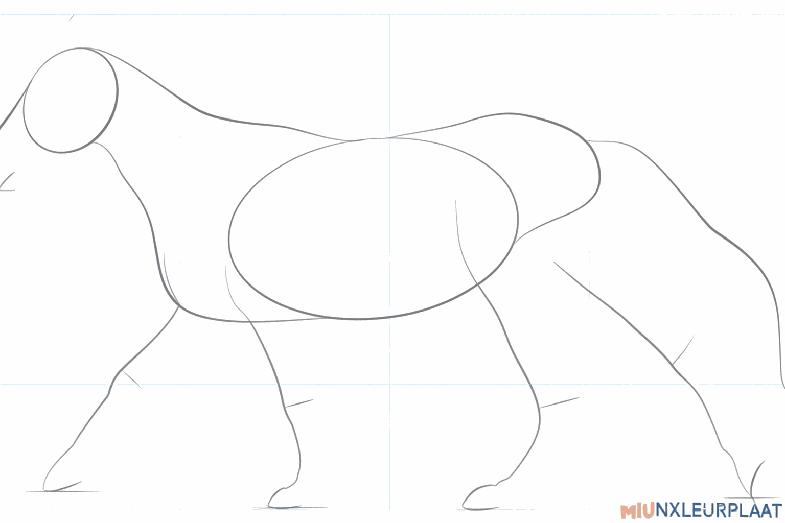 Guide lines for the legs and the ears of the running horse.