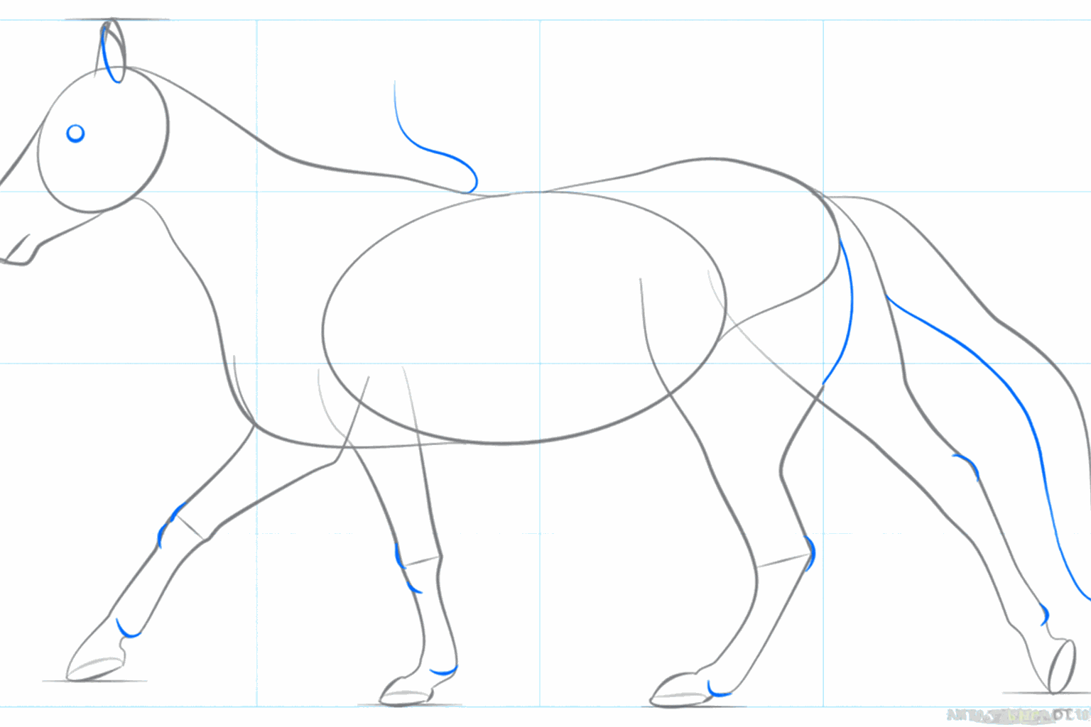 Draw the eye and the mane of the horse.