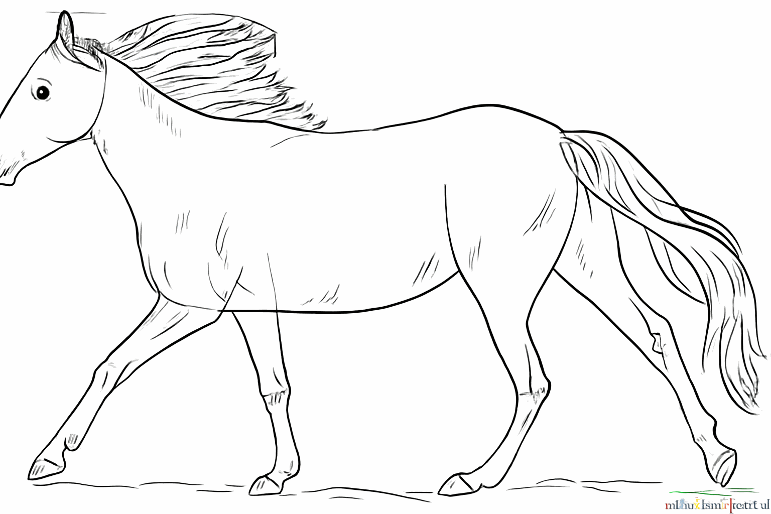 Add details such as the nose and lines at the joints.