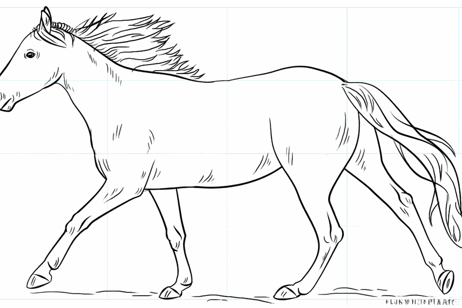 Drawing a running horse