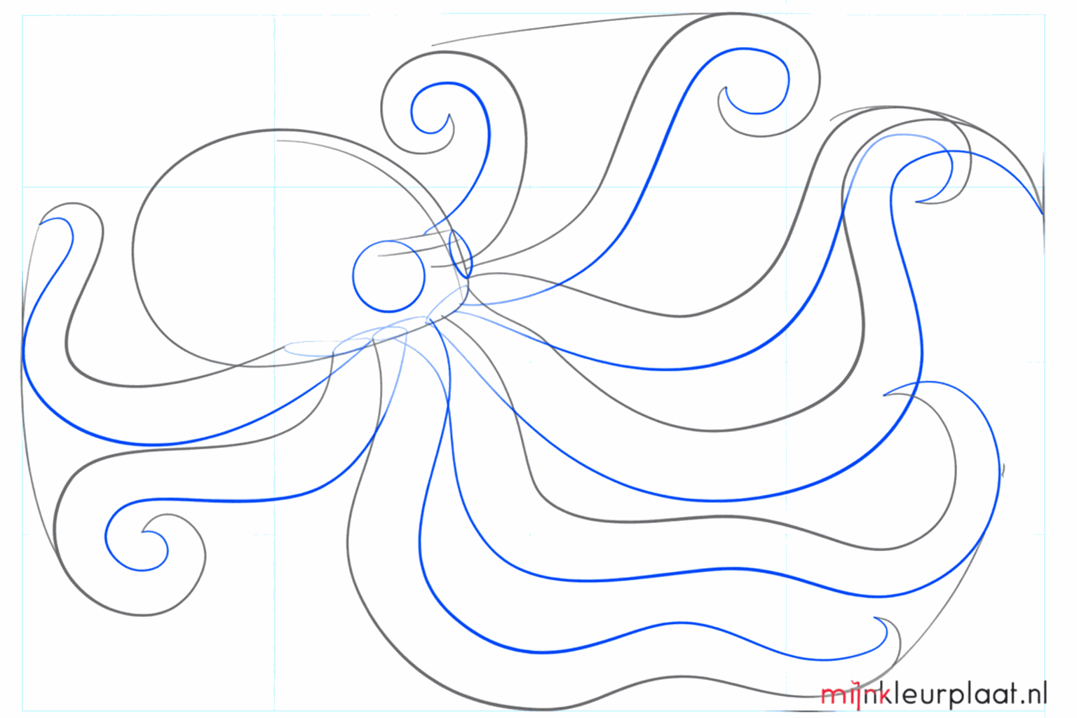 Thick tentacles and two round circles for the eyes on the head.