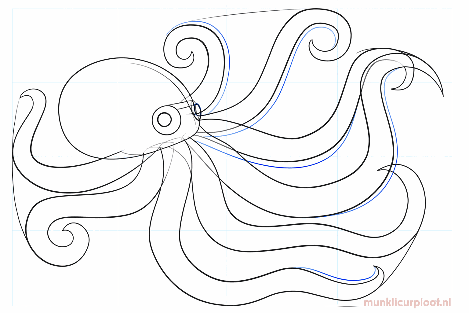 Eyes with black dots and lines along the bottom of the tentacles.