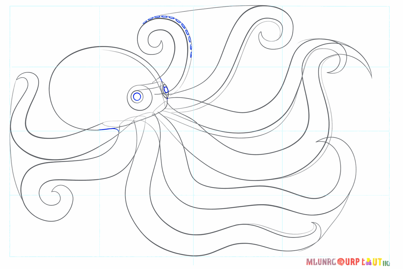 Small circles as suction cups on the back arms of the octopus.