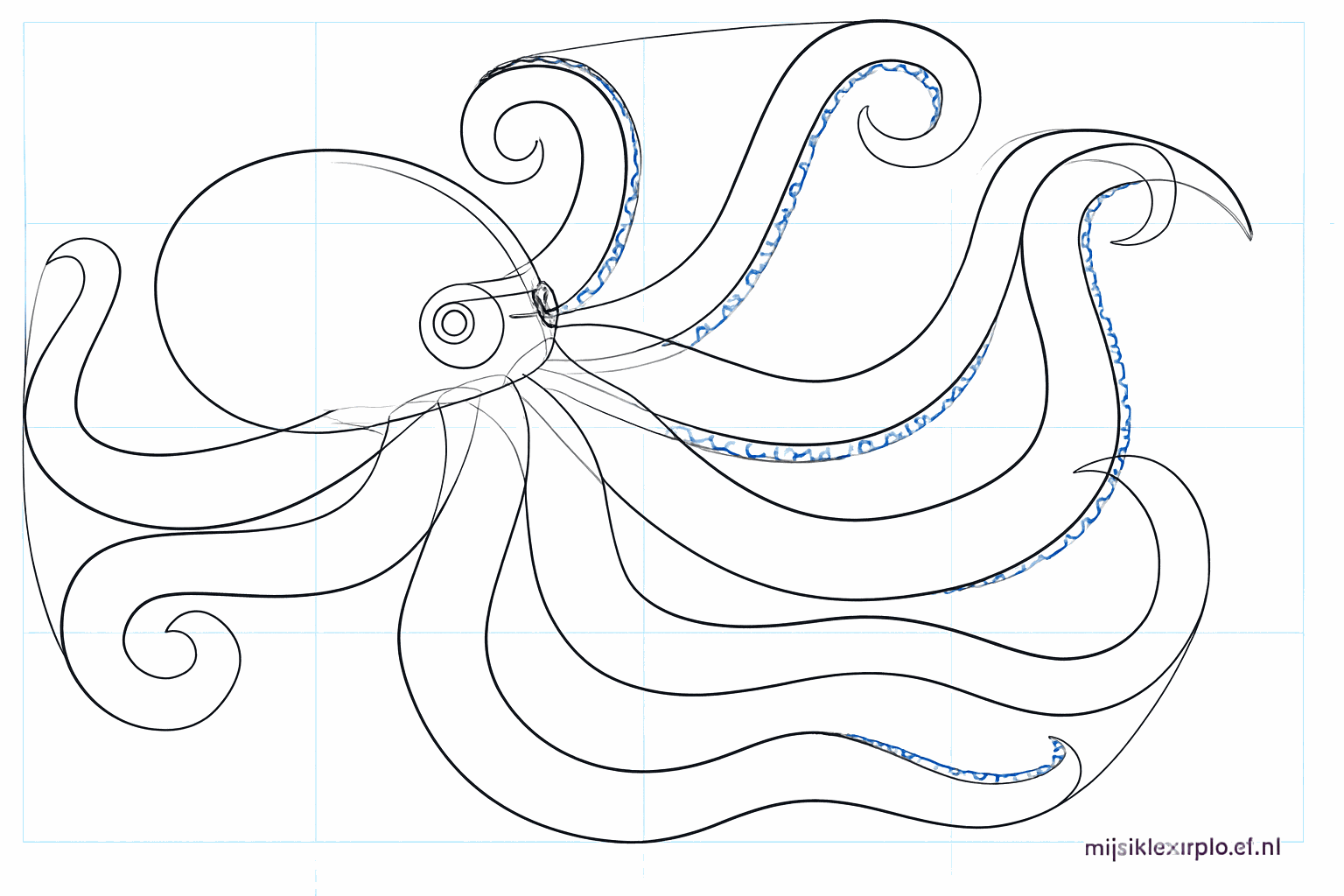 All eight arms of the octopus are now covered with small round suction cups.