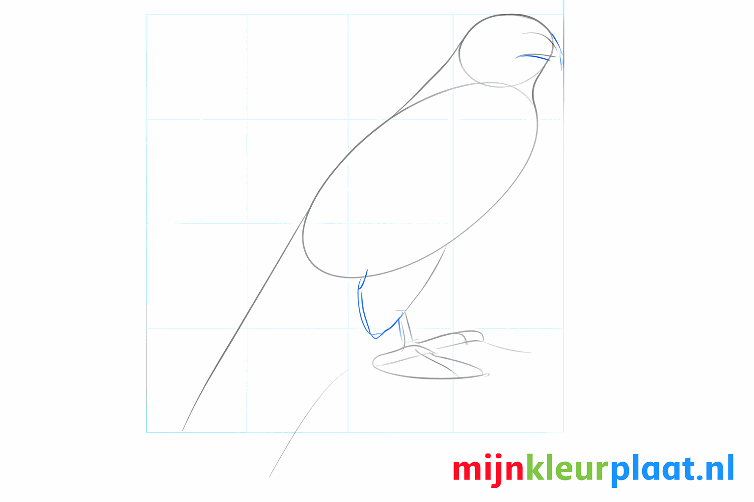 Sketch of the beak and the start of the falcon's legs.