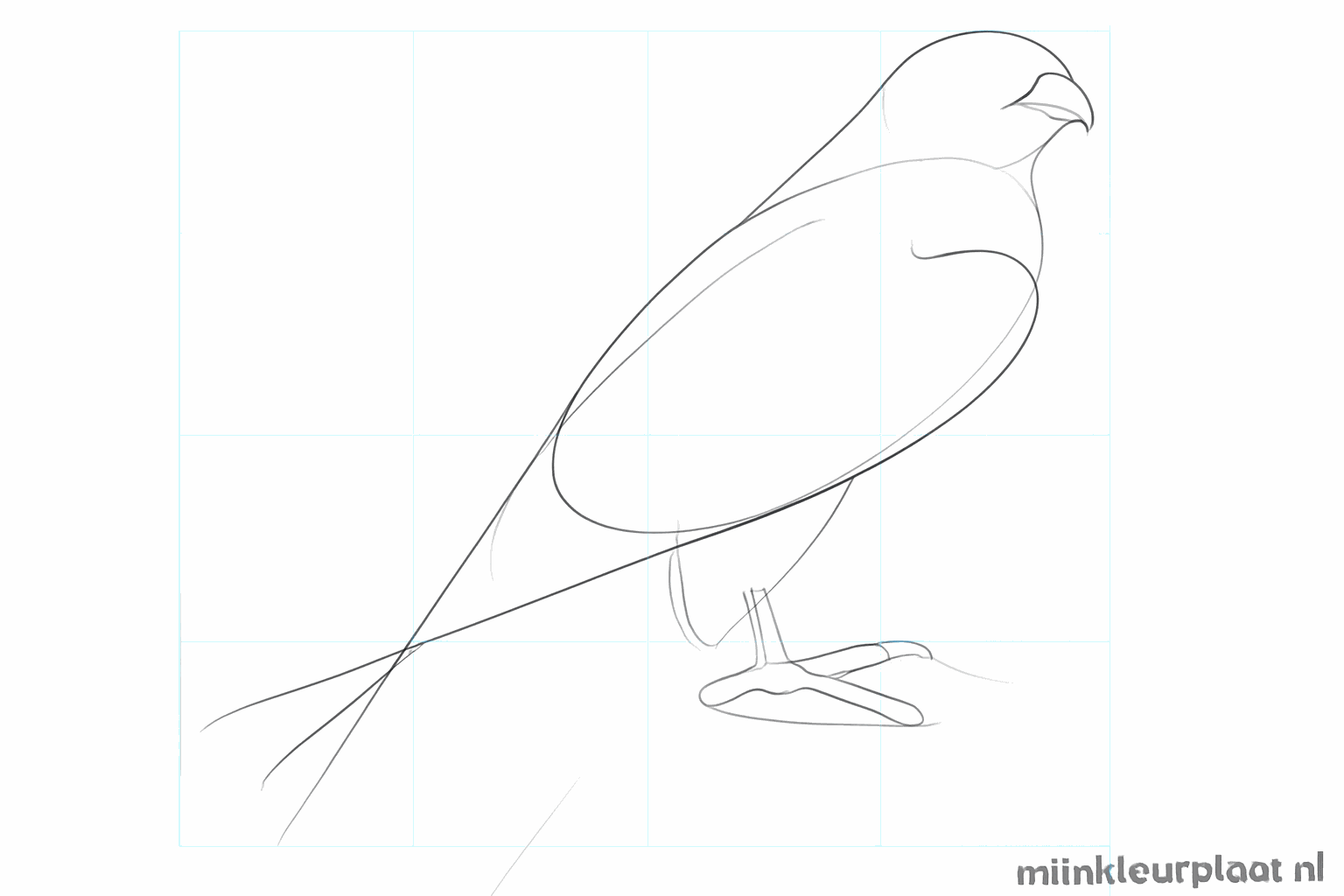 The outline of the wings and the legs with claws are drawn.