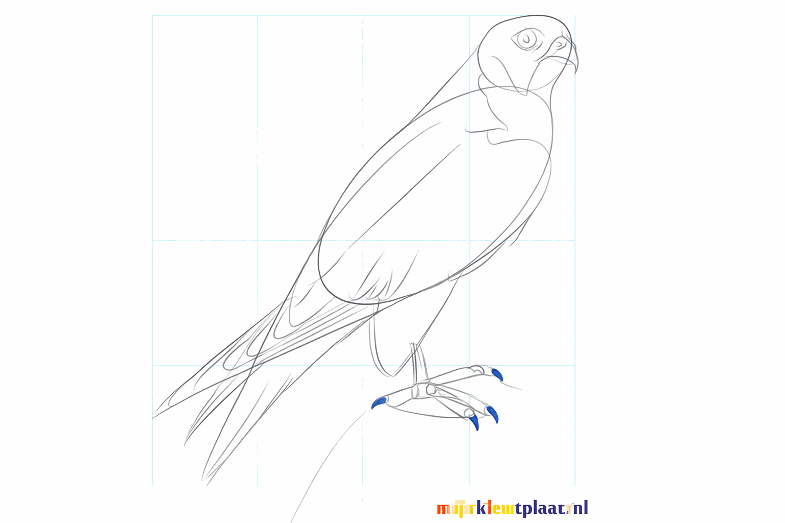 Feathers on the wings and details on the beak and head.