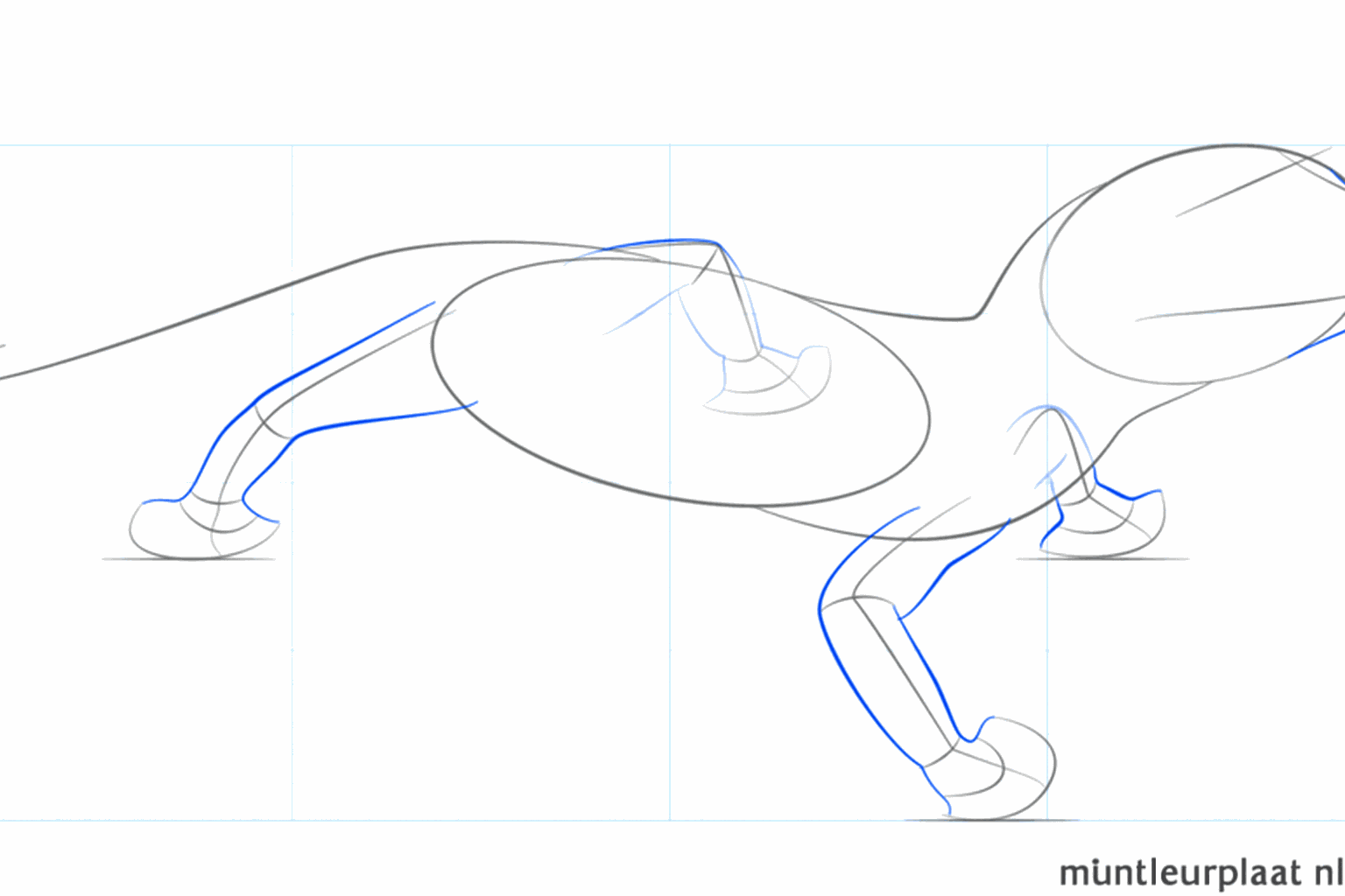 Quatre lignes simples montrant la position des pattes du gecko.