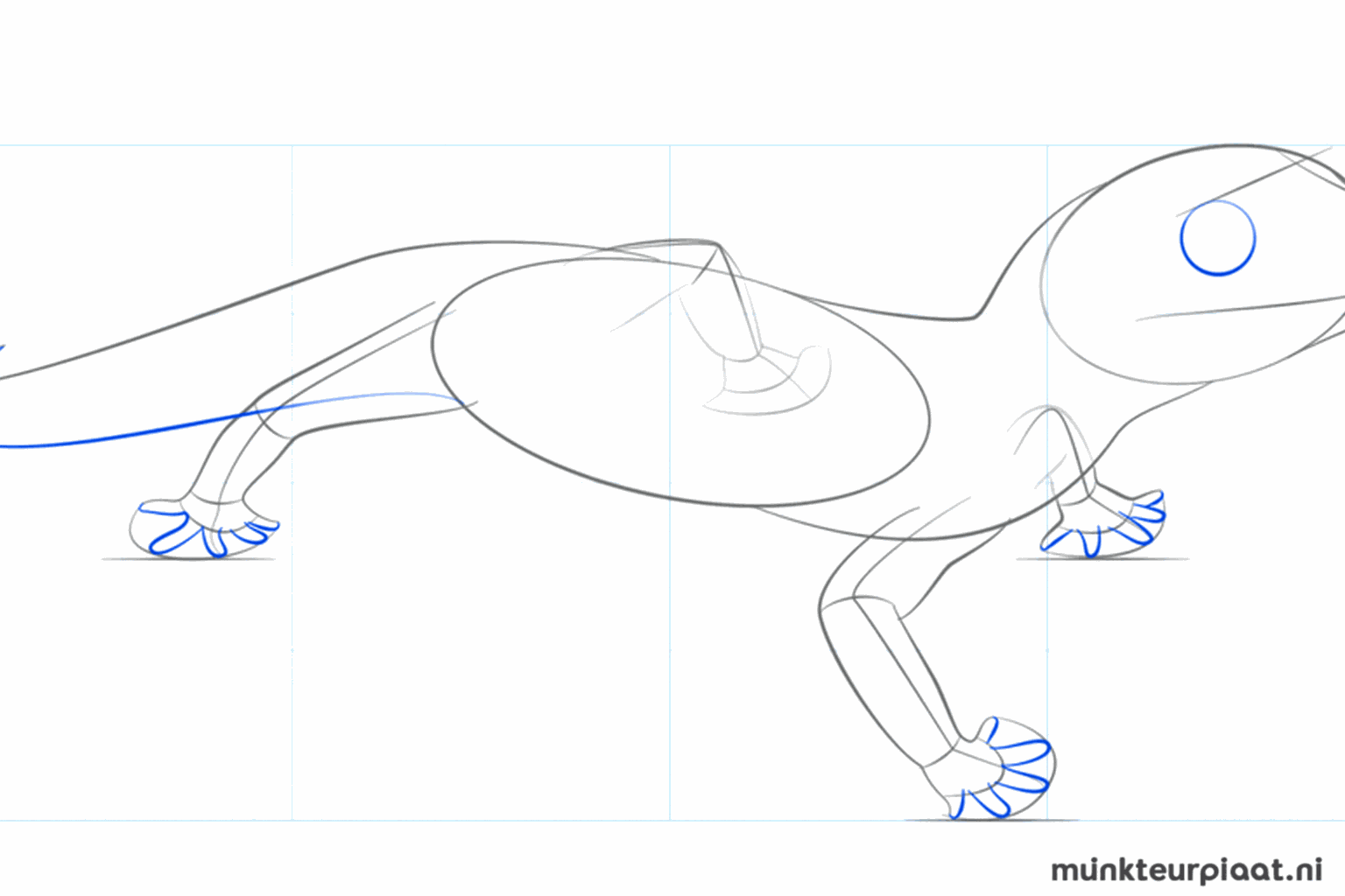 Le contour de la tête et l'épaisseur des pattes deviennent visibles.