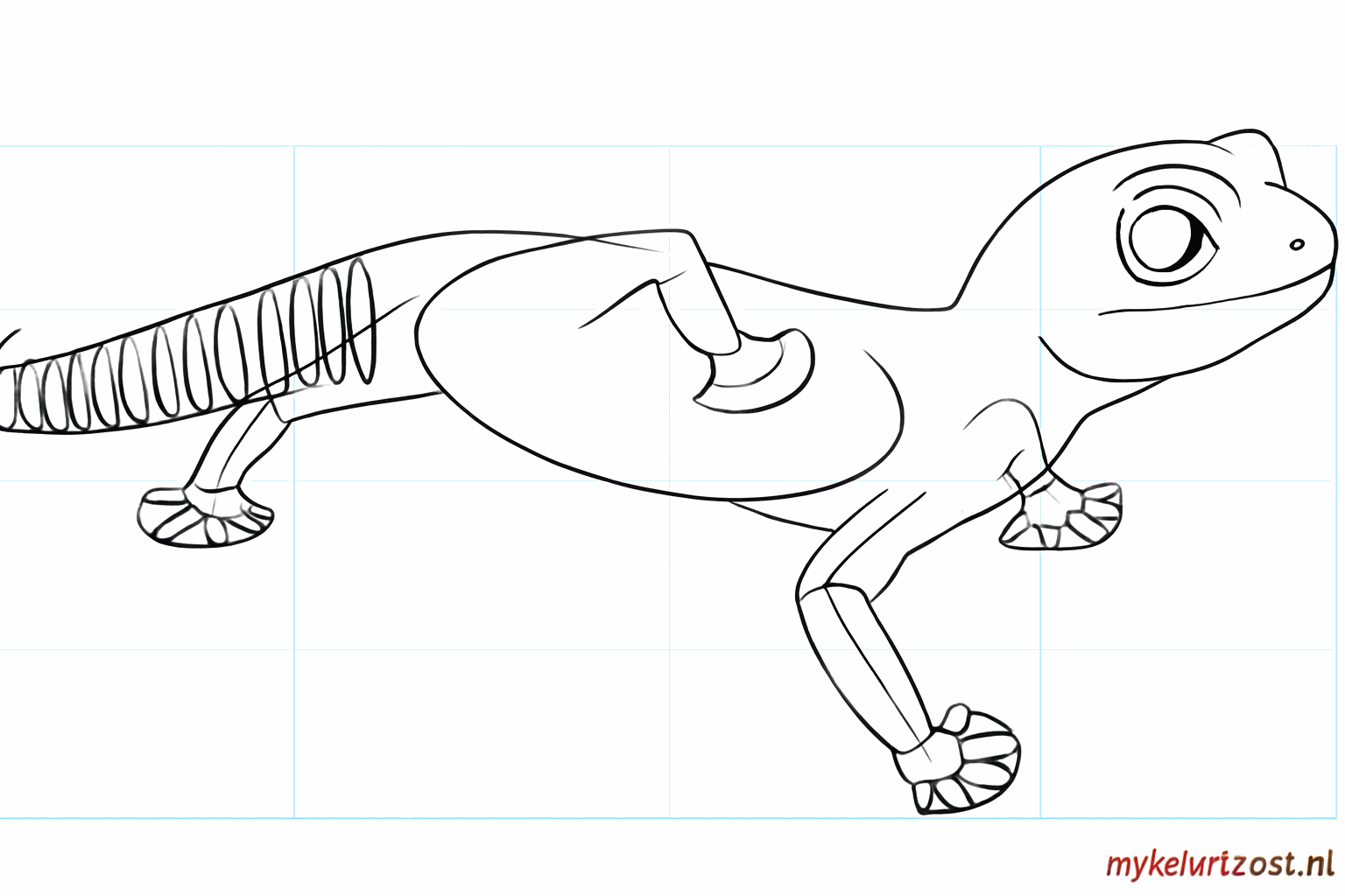 Le gecko reçoit des yeux ronds et une queue épaisse et pleine.