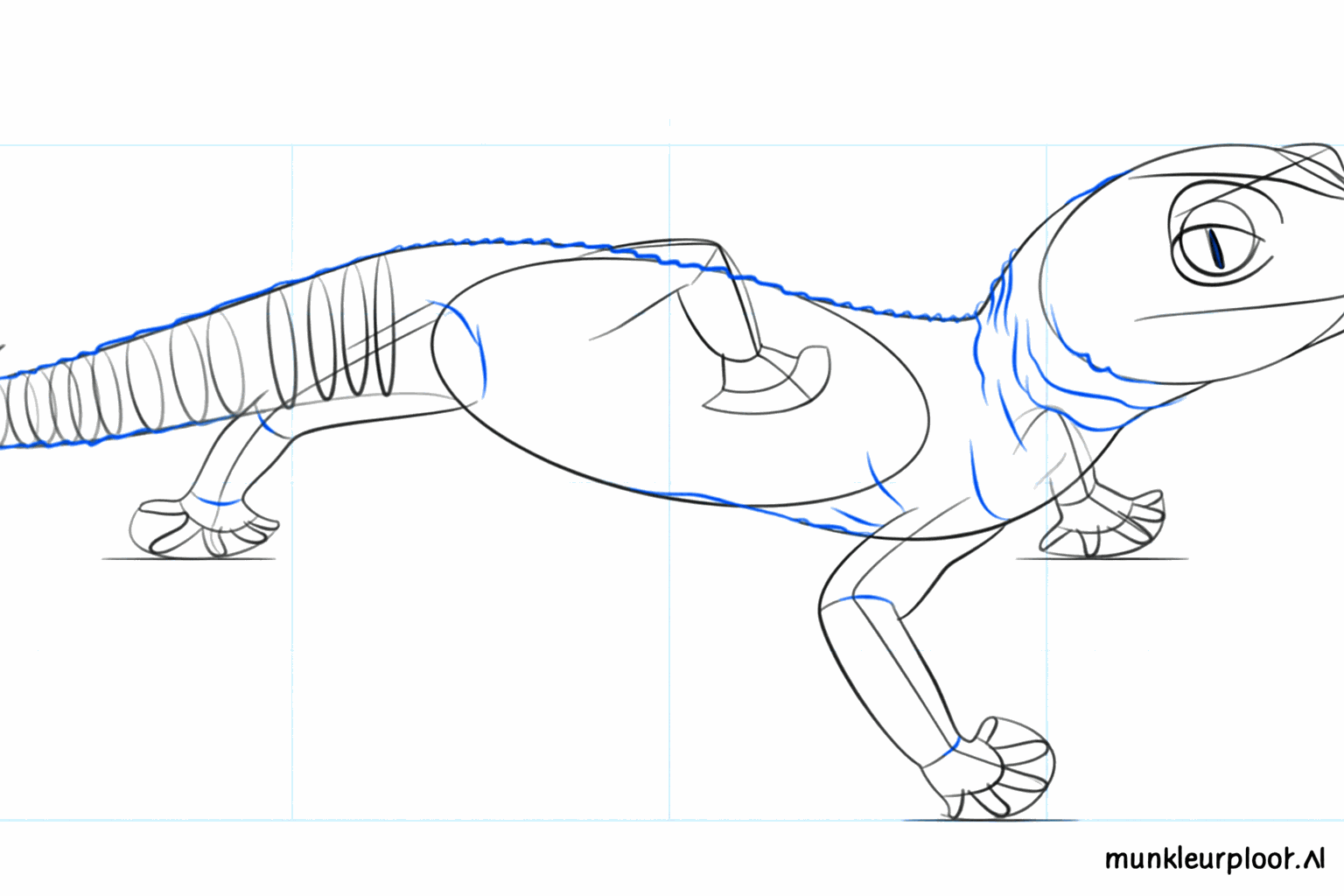Détails des orteils et des segments sur la queue épaisse.