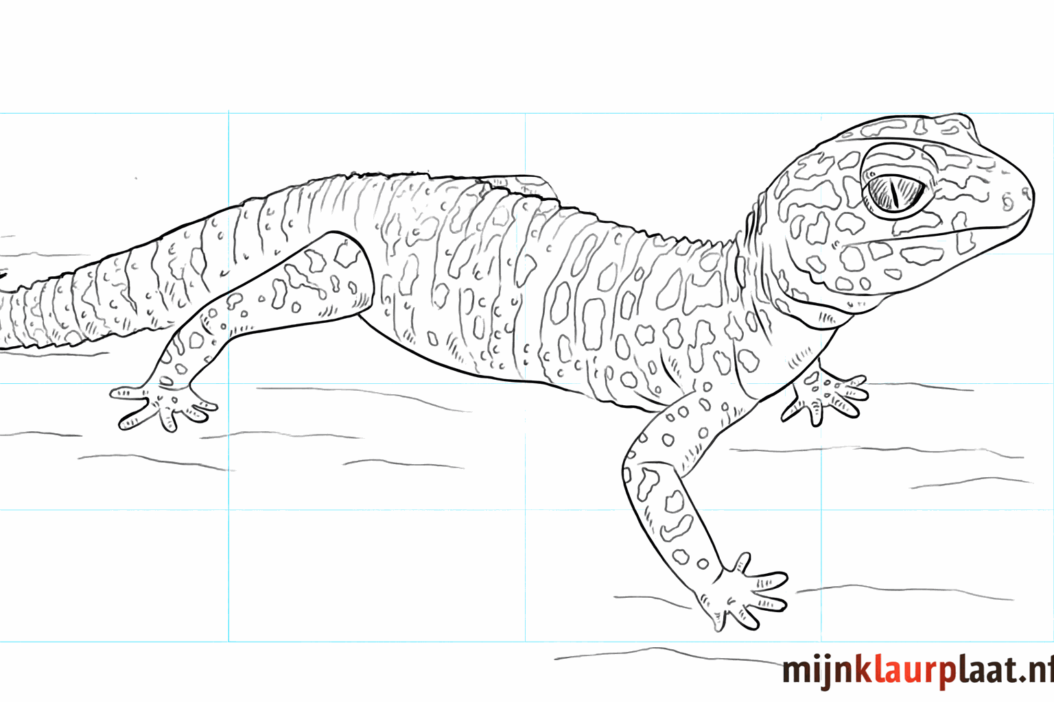 Drawing a leopard gecko for kids