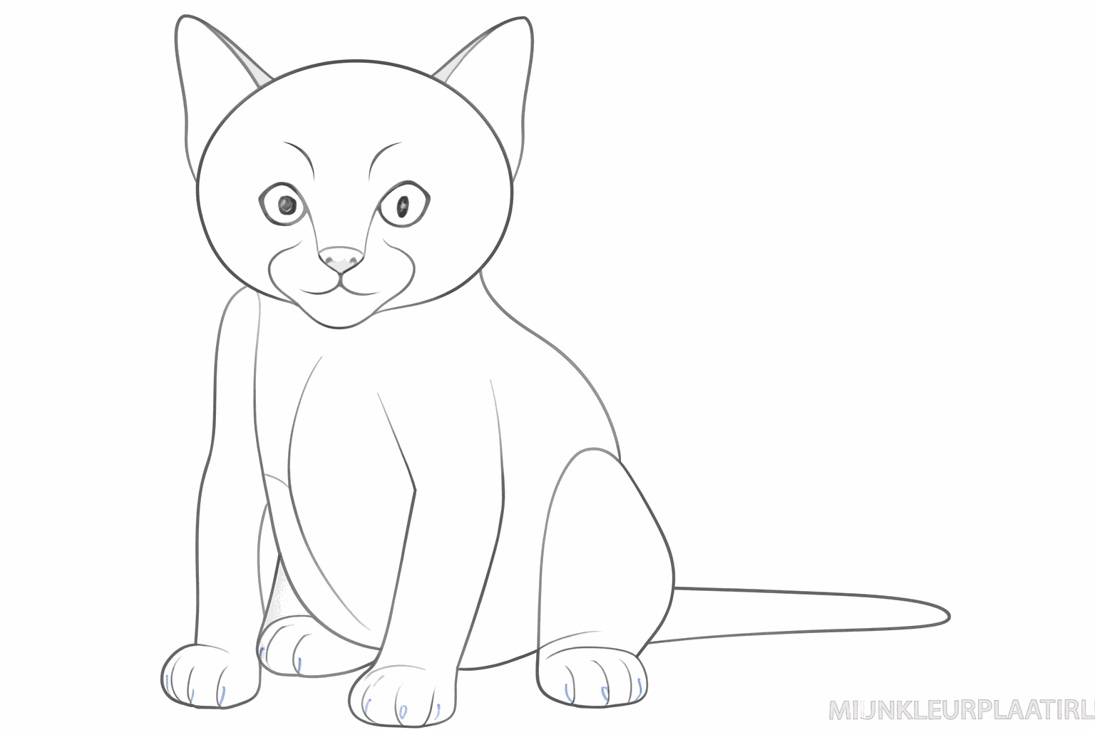 Détails dans les oreilles et un petit nez avec un sourire.