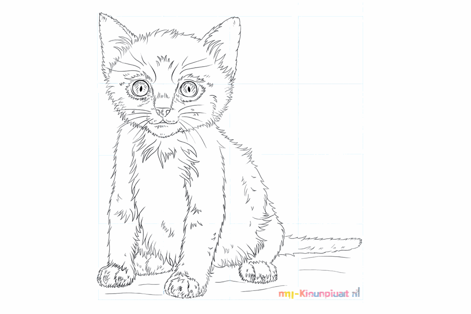 Drawing a cute kitten