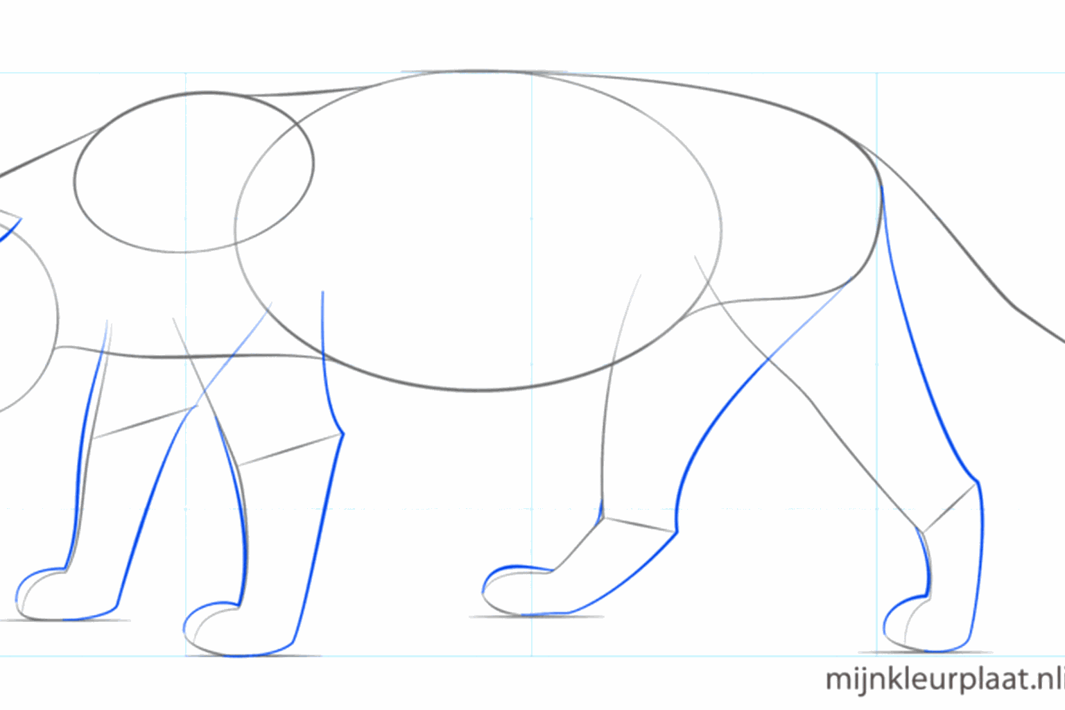 Draw thick legs and triangular ears on the head.