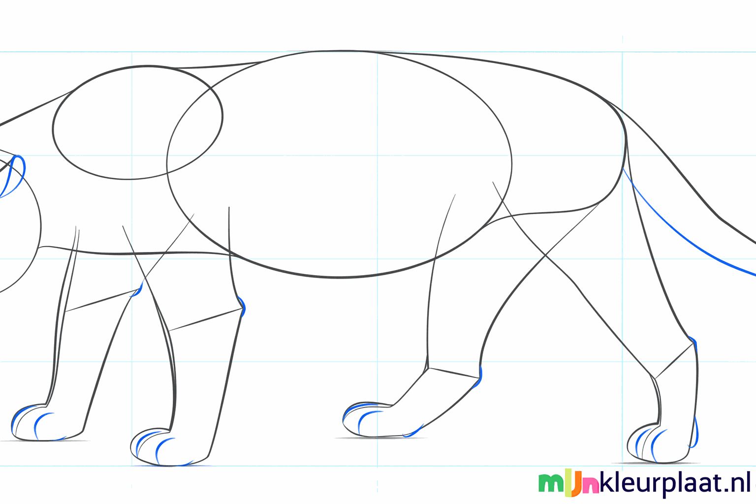 Drawing large round paws and a thick tail.