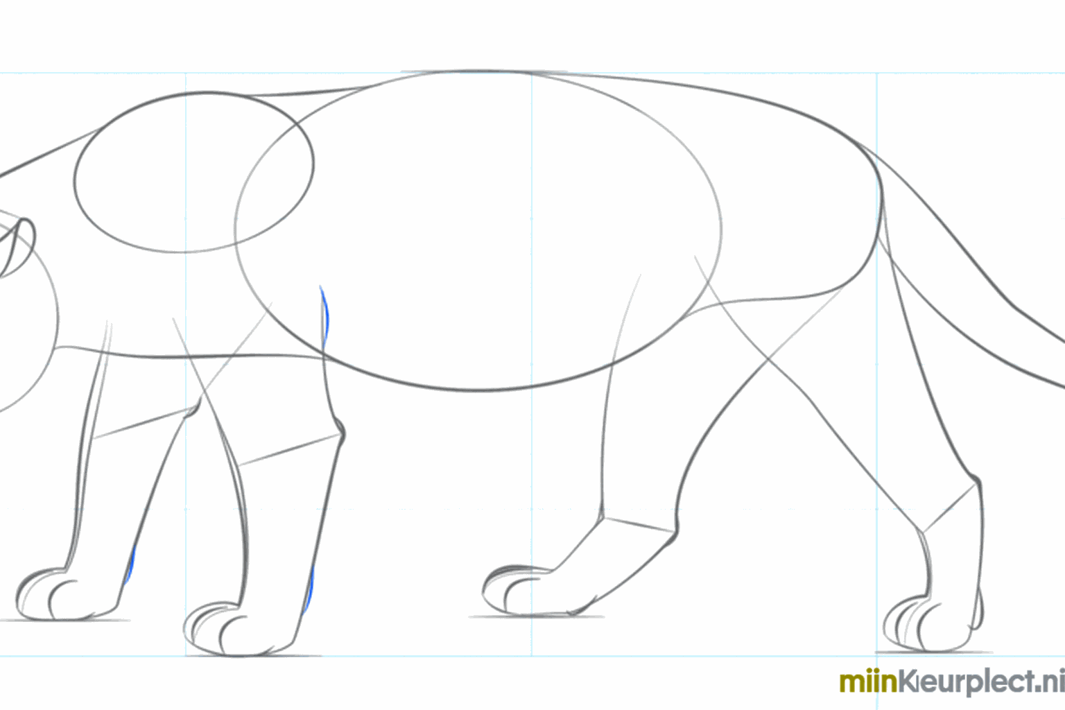 Adding eyes, nose, and mouth to the jaguar's face.