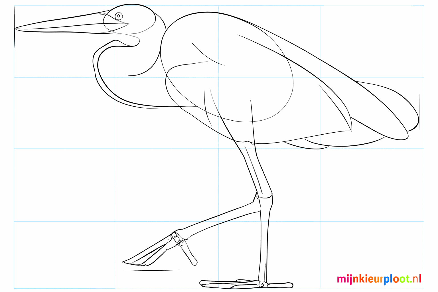 The wing on the body and the toes at the bottom of the legs.