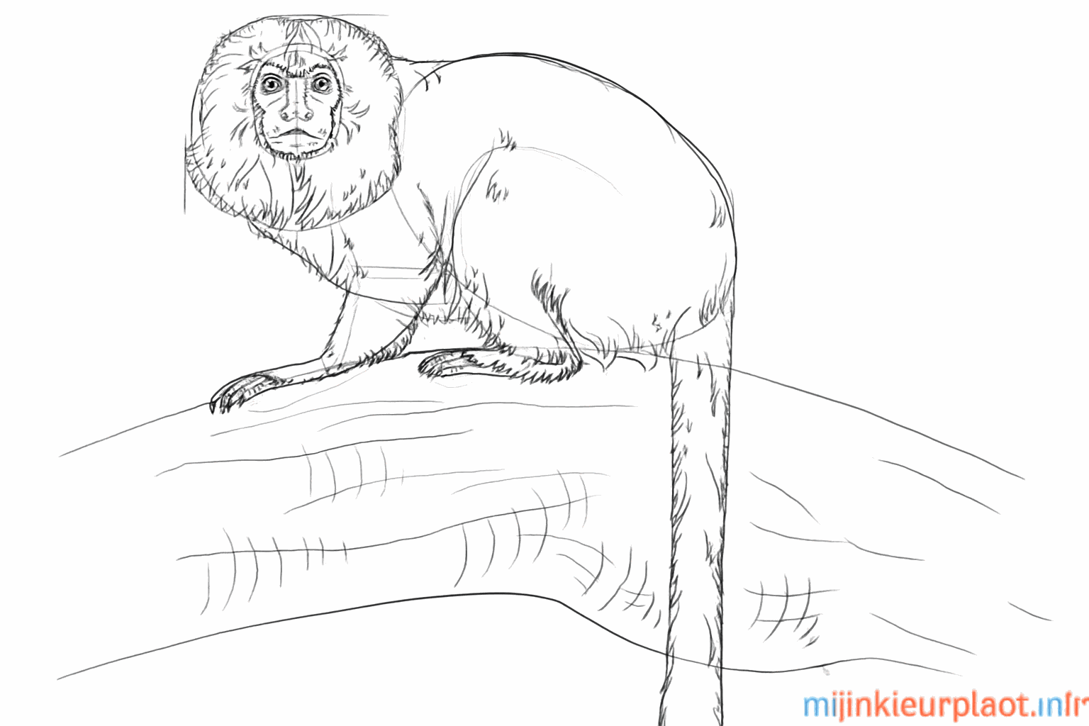 Structure du pelage et détails du tronc d'arbre.