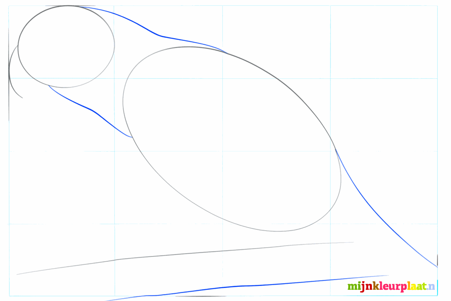 The neck lines connecting the head to the parrot's body.