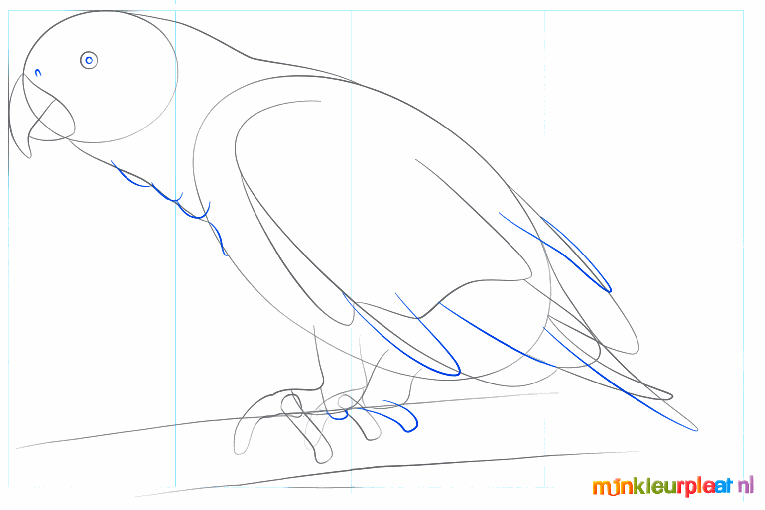 The eye of the parrot and the details of the legs on the branch.
