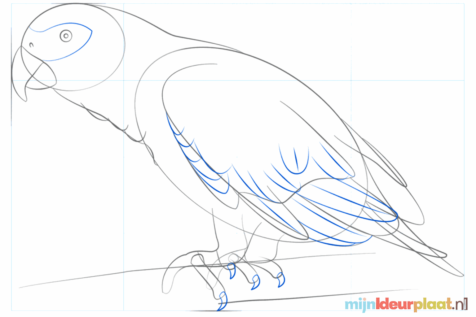 A curved parrot beak with an upper and lower part.