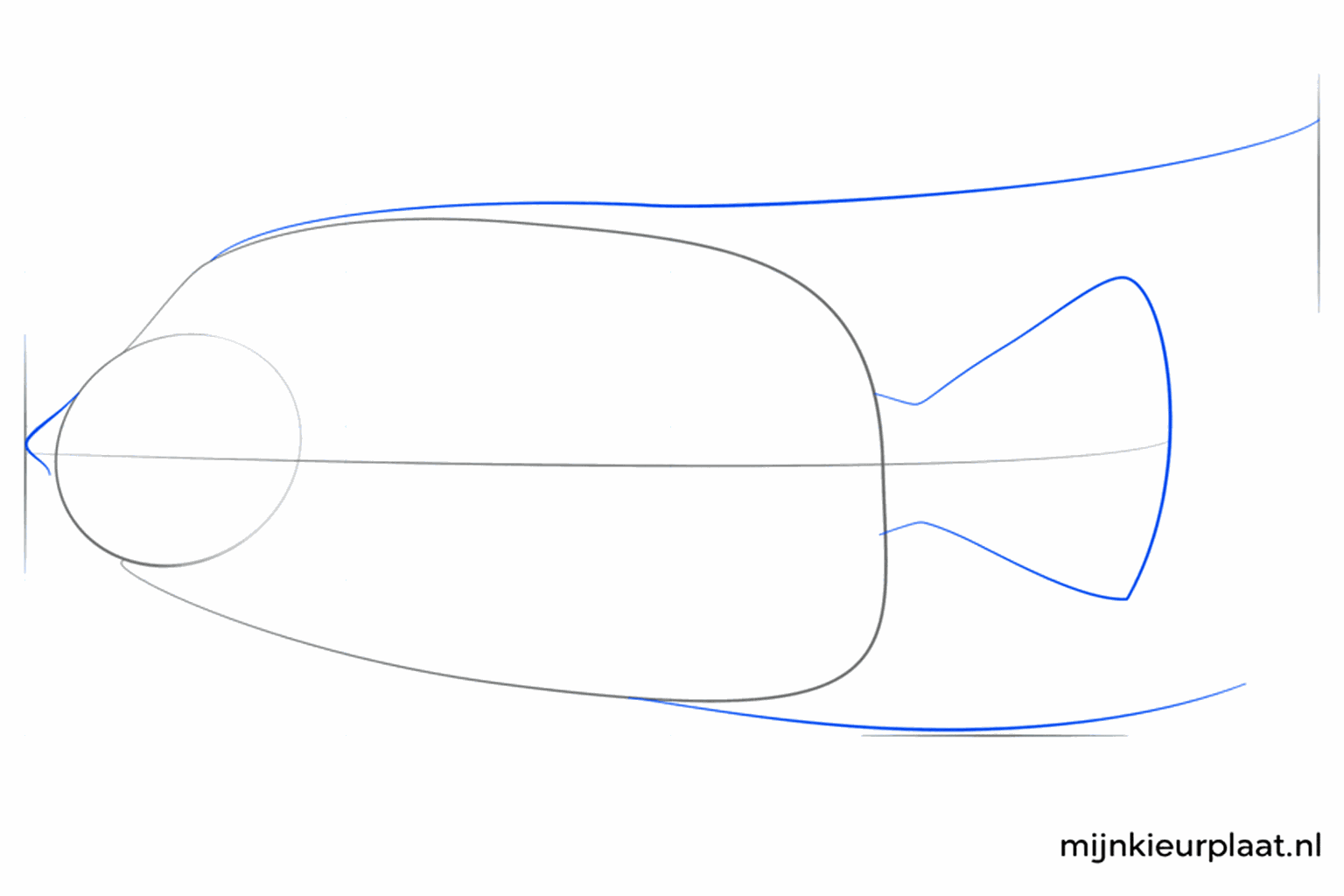 Step 3: Add a mouth and lines for the fins.