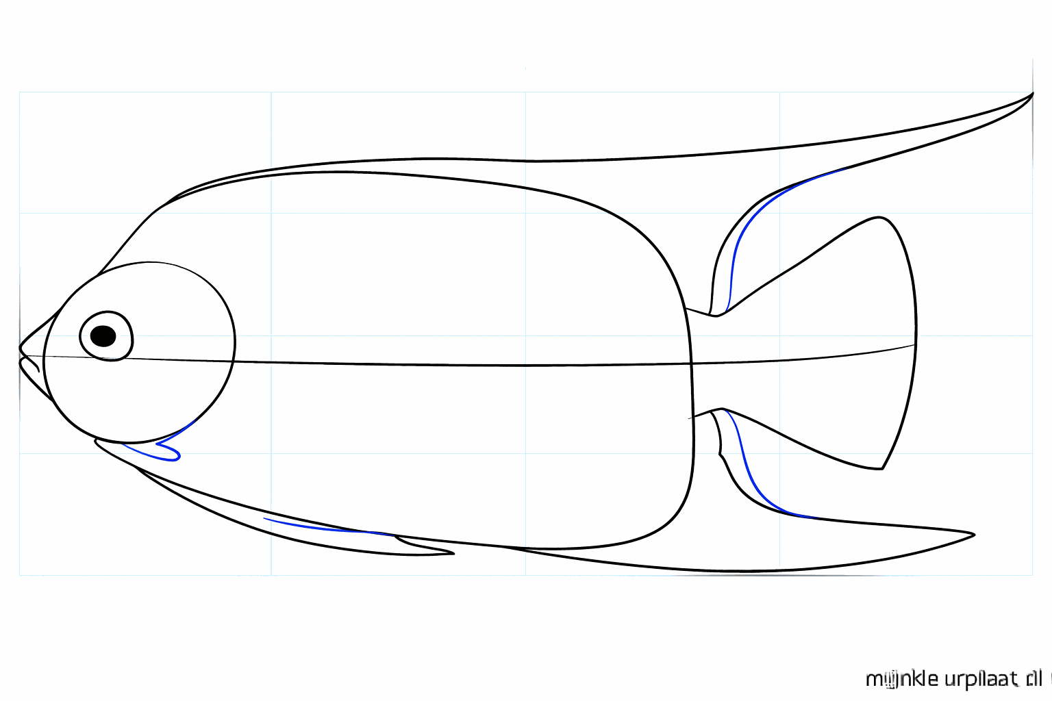 Step 5: Draw a round eye and the pelvic fins.