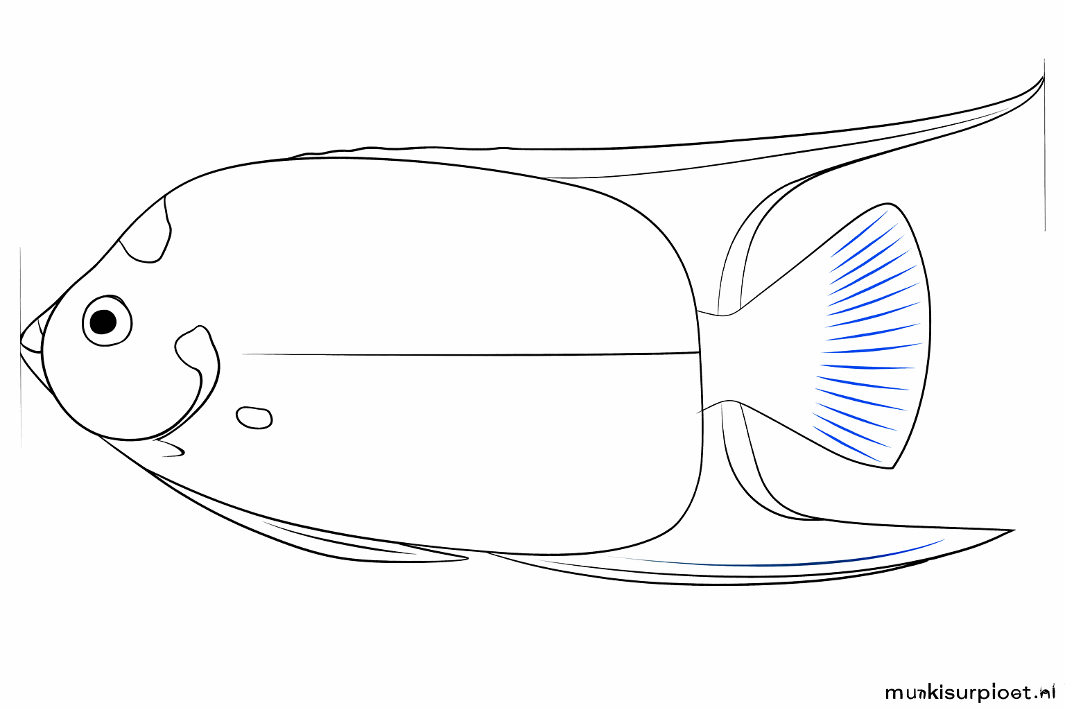Step 6: Make the fins pointed and draw the pupil in the eye.
