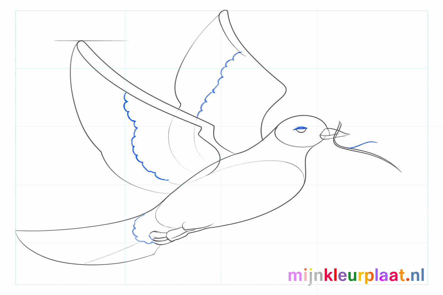 The tail shape and an eye of the dove drawn.