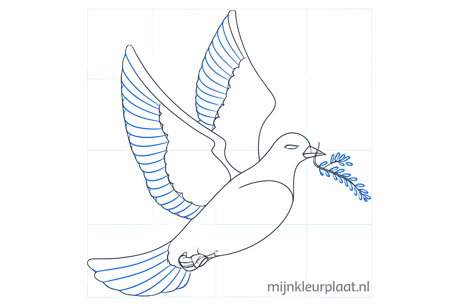 Details of the feathers on the wing and the tail.