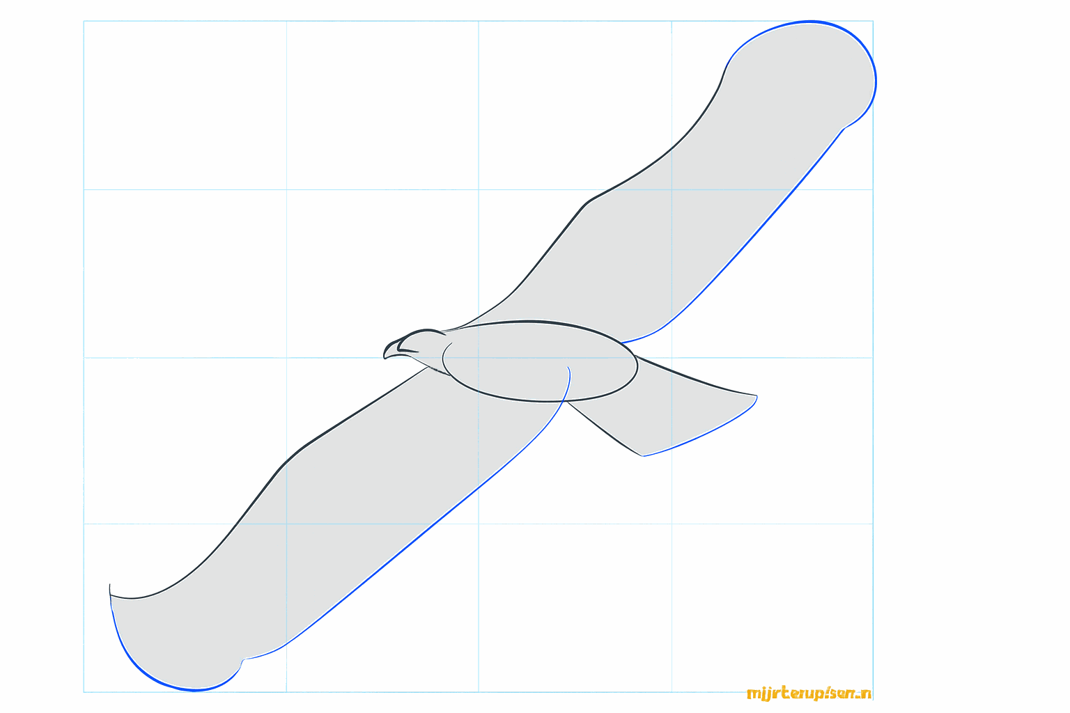 The outlines of the outstretched wings and the tail of the eagle.