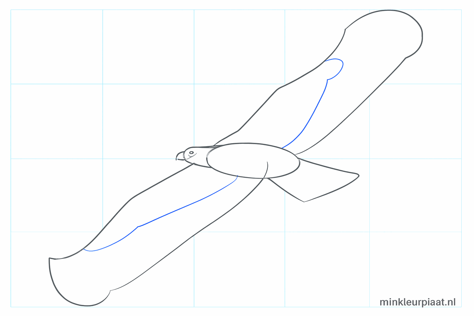 The beak and the sharp shapes of the wings are being drawn.