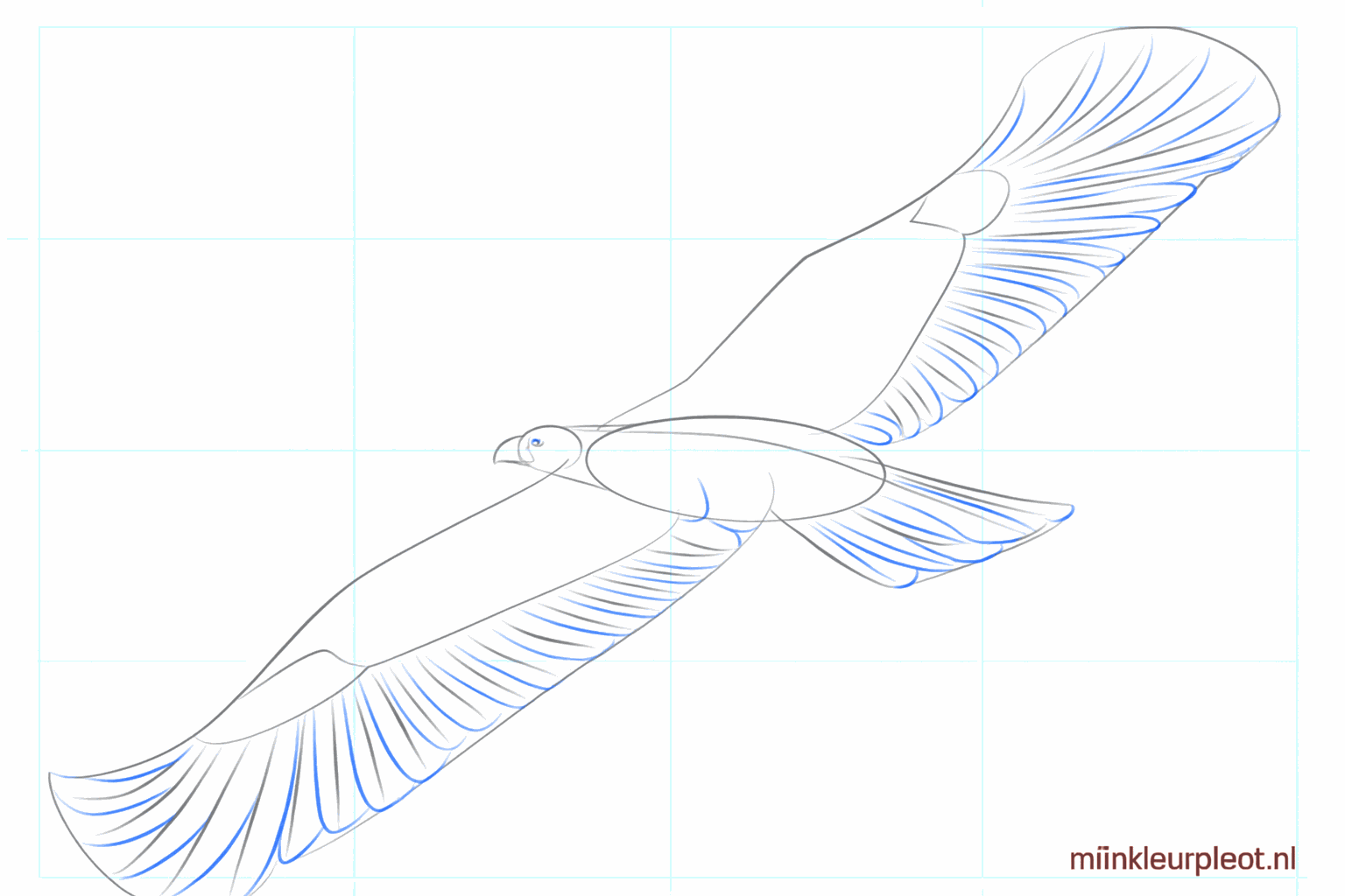 The eye of the eagle and the first small feathers on the wings.